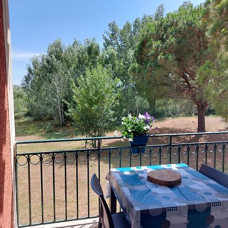 Ferienwohnung Aux Abords Du Lac Arles Exterior foto